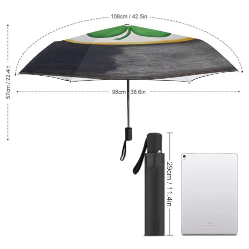 Disque vinyle parapluie trèfle ACEPrints le cadeau idéal pour mélomane - 2