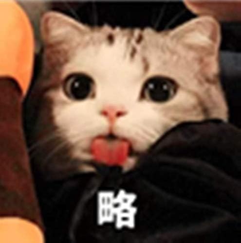 Heenqueen Kanna Kamui PVC 1/6 Scale Figure Statue- Miss Kobayashi's Dragon Maid Japanese Anime Character Statue