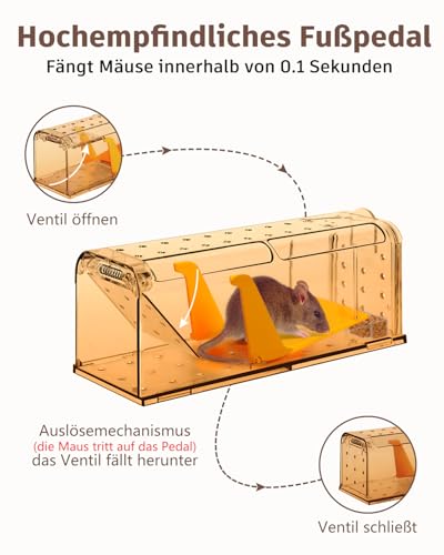 KENNEAS Mausefalle Lebend 2er Pack, Lebendfalle Maus, Wiederverwendbar, Tierfreundliche, Hochsensitive Quick Release, Kontakt mit Mäusen vermeiden - Gartenzubehör(2, Braun)