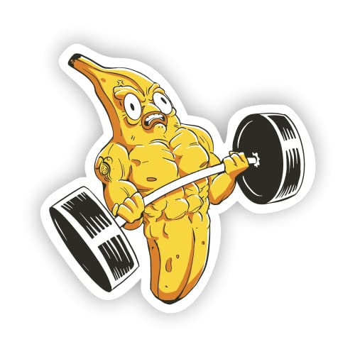 VulgrCo Body Builder Weight Lifting Banana Funny Sticker Vinyl Waterproof UV Resistant Decal for Phones Laptops Water Bottles Tumblers Boats Cars Trucks Windows Kayak 3