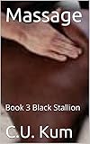 Massage: Book 3 Black Stallion (English Edition)