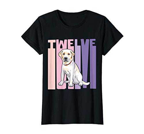 12 Años Cumpleaños Retro Labrador Retriever Chicas Niña Camiseta