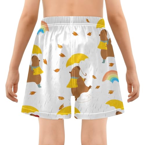 Bolaz Toddler Boys Swimwear Swim Trunks with Compression Liner 4T Capybara Umbrella3