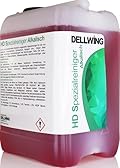 DELLWING - Detergente Concentrato per Carburatore, Teste dei Cilindri, Iniettori, Ugelli degli Iniettori e Altre Parti, Liquido per Bagno a Ultrasuoni e Sporco Ostinato