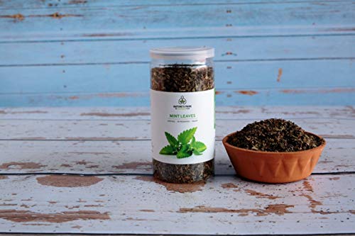 Image of Nature's Park Herb - Dried Mint Leaves- 100% Natural & Sun Dried (Pudina Patta) Pet Jar (35gm)