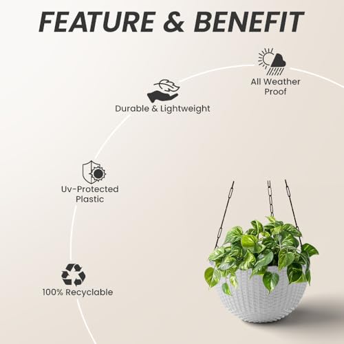 Image of YUCCABE ITALIA SHERA URO-Basket Plastic Flower Pot with Drainage Holes Round Planter Pot Suitable for Inddor Outdoor Kitchen (Multicolor, 6 INCH - 12 Pcs)