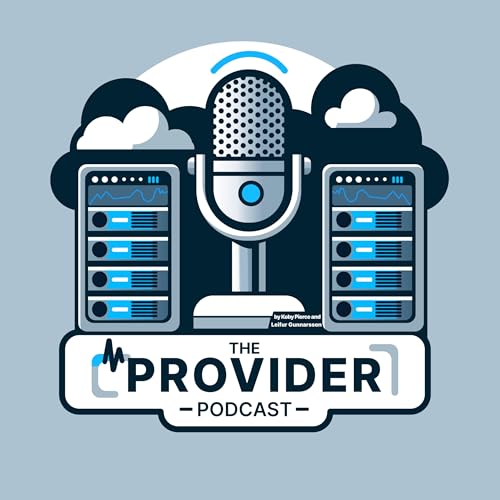 The Provider Podcast cover art