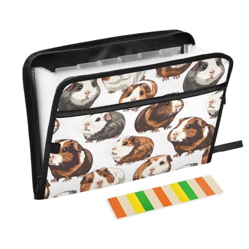 ALAZA Cute Pig Guinea Expandable Filing Folder Storage Organiser Box Files, 13 Pockets Zip Filing Folders for Home or Office Documents