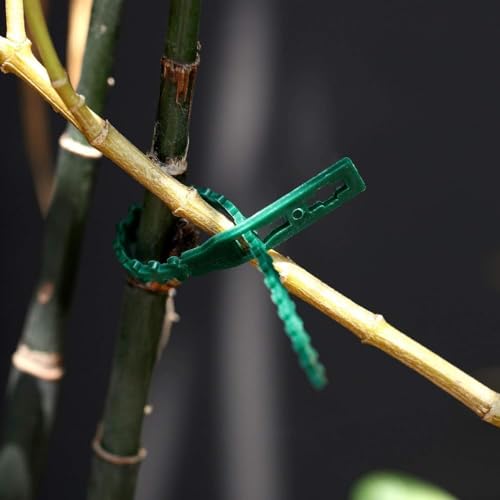 Image of 60 PCS Plant Support Clips & Ties for Climbers | 17cm Plant Support Sticks, Wall Clips & Twist Ties | Plant Holder for Vines, Creepers & Indoor /Outdoor Garden