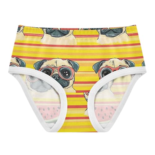 Wusikd Pug Dogs Girls' Underwear Cotton Big Eyes Girls Briefs Soft Toddler Underwear 2T
