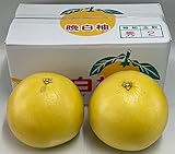 晩白柚（ばんぺいゆ）ご自宅用 Lサ�