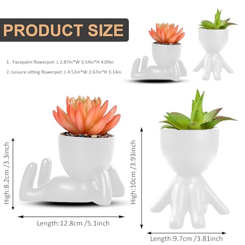 Plantes de Cactus Succulentes en Céramique Noire Design