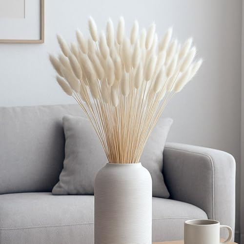 Image of TIED RIBBONS Set of 100 Pcs Natural Dried Bunny Tail Pampas Grass White Color Bunny Tail Pampas Boho Bouquet Artificial Flowers Decor for Table Vase Living Room Home Decoration (20 inch Length)