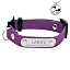 dark purple with bell