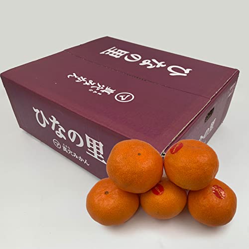 y^݂zQFa ^I̍ōuh ЂȂ̗ ݂ Rkg r/M/LTCY Q ݂ Ε鑡py12{`{twsz