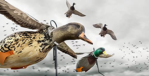 DEADLY DECOYS Mallard Flyer Decoy -1 Decoy - Thumbnail 3