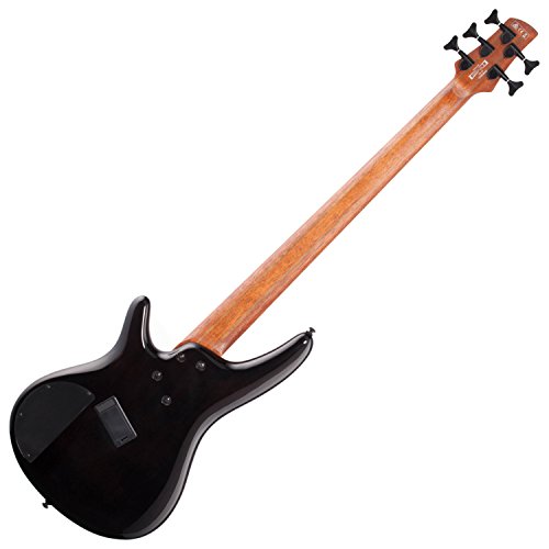 Professional Bass Guitar Starter Bundle