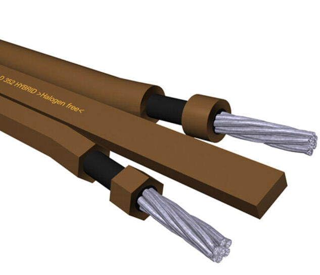 Amazon.co.jp: 極太 高純度銀 ハイエンド VAN DEN HUL バンデンハル