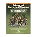 The Forest Oracle (Advanced Dungeons & Dragons Module N2)