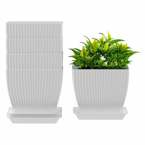 Image of HOMIFLY 5 Pack Plastic Square Flower Pots with Drainage & Bottom Tray /Lightweight, UV & Weather Resistant /6.5 Inch Planters for Indoor /Outdoor /Home /Balcony /Terrace /Garden Plant Pots (White)