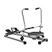 Rudergerät für Zuhause, Hydraulisches Fitness Rudergerät Rudermaschine Ruderzugmaschine mit LCD Bildschirm, Trainingsgeräte bis 120 KG, für Fitnessstudios Häuser Unternehmen