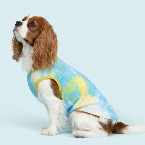 KYEESE 2Pack Dog Shirt for Small Dogs Soft Breathable T-Shirts, Purple+Blue by KYEESE - Used condition - Image 6