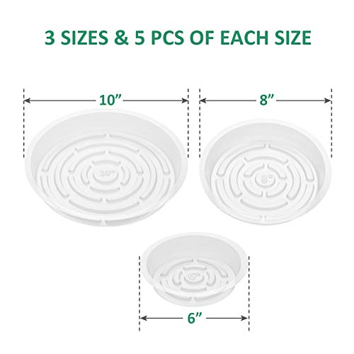 image for GROWNEER 15 Packs 6inch / 8inch / 10inch Clear Plant Saucers Flower Po