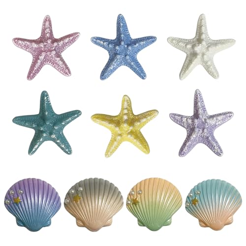 10 imanes decorativos estrella de mar y conchas