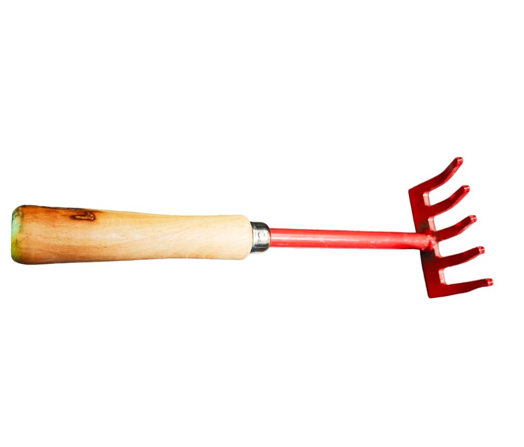 Hand Rake for Gardening Work (B0DCKD2HHC) Amazon Price History, Amazon Price Tracker