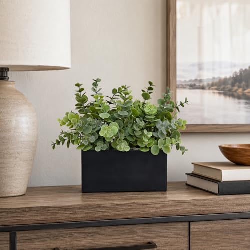 Eucalyptus artificiel noir avec pot rectangulaire deco maison interieur moderne