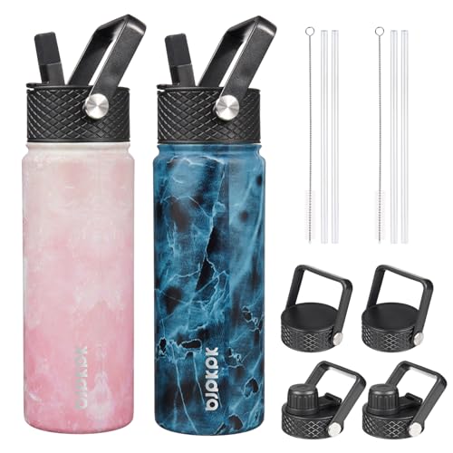 Image of BJPKPK 2 Pack 22oz Insulated Water Bottles with Straw Lids, Stainless Steel