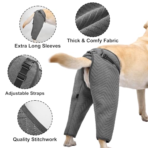 Arblina Manga de recuperação de perna traseira para cães, manga de terno de recuperação de cachorro