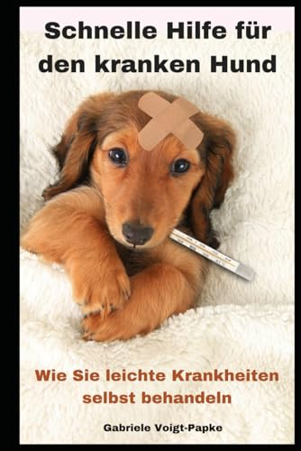 Schnelle Hilfe für den kranken Hund: Wie Sie leichte Krankheiten selbst behandeln