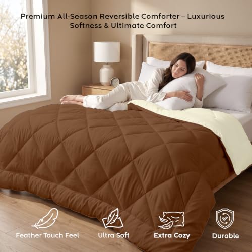 Image of AYKA Reversible Comforter 220 GSM Microfiber Reversible AC Comforter /Blanket for Winter /Quilt /Duvets for King Size Double Bed Comforter (90 * 100, Brown & Cream)