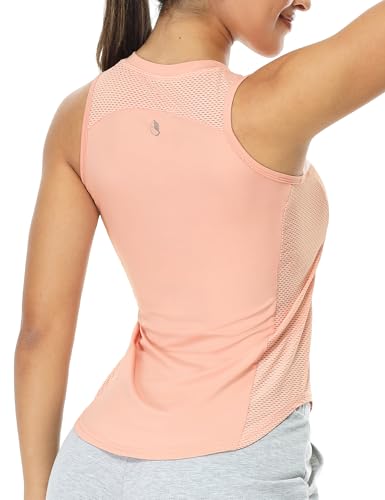 [icyzone]fB[XKtBbglX`bLnClbNʋCm[X[ujOW[W (sN,L)