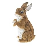 CLEVER GARDEN Rabbit Garden Statue Outdoor Décor, Resin Figurine Decoration for Lawn, Yard, Patio, P