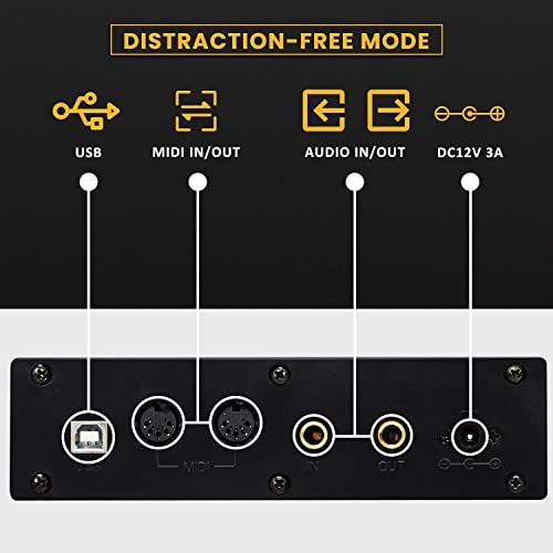 EROMMY Piano numérique avec 88 touches – Piano électronique portable avec pédale de sustain – 2 haut-parleurs stéréo de… - Les Beatles, Paul McCartney, John Lennon, RIngo Starr, George Harrison EROMMY Piano numérique avec 88 touches - Piano électronique portable avec pédale de sustain - 2 haut-parleurs stéréo de… – Image 8