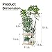 Bamworld Small Plant Stand Indoor 4 Tier Metal Plant Shelf for Multiple Plants Corner Flower Stand for Patio Garden Balcony Living Room Bedroom White