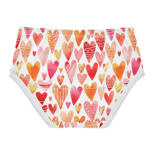 Joisal Fun Toddler Underwear Floral 2t Cotton Cute Panties Girl Cute Hearts Pink Cartoon Briefs Undies Kids2
