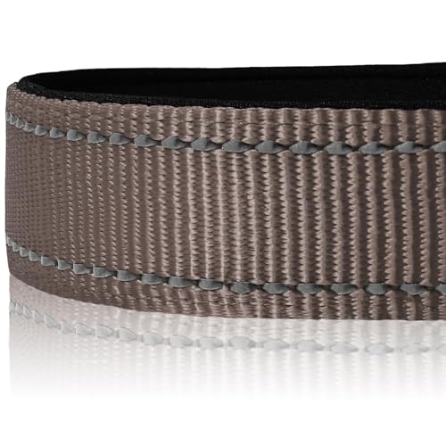 image for Joytale Reflective Dog Collar,Soft Neoprene Padded Nylon Pet Collar Ad