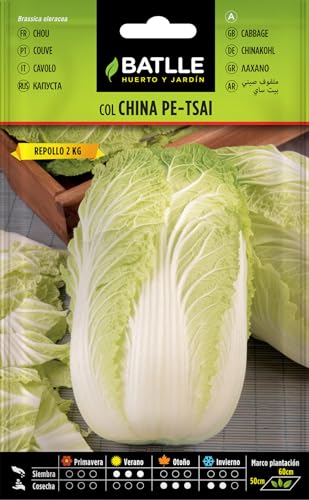 Peyca Semillas Horticolas - Col China Pe-Tsai - Batlle