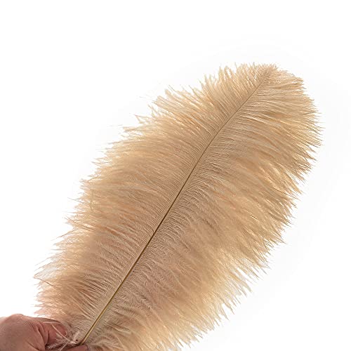 Ballinger Champagne Ostrich Feathers Bulk - 24Pcs 10-12Inch Boho Feathers For Vase And Home Decor Wedding Party Centerpieces #TOP1