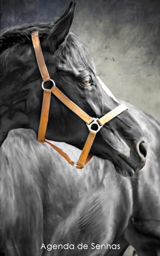 Agenda de Senhas: Agenda para endereços eletrônicos e senhas: Capa cavalo preto - Português (Brasil) (Agendas com cavalos) (Portuguese Edition)