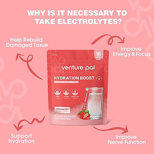 Venture Pal Sugar Free Electrolyte Powder Packets - Drink Mix For Rapid Hydration & Party Recovery | 5 Vitamins & 7 Electrolytes| Keto Friendly | Non-Gmo | Certified Vegan | 16 Sticks #TOP4