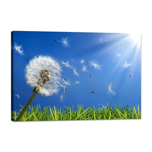 風景画 青い空 タンポポ アートパネル 陽光 写真 自然 風景 ポスター 玄関 風水 壁絵 木枠付きの完成品 (30x40cm)（Amazon）