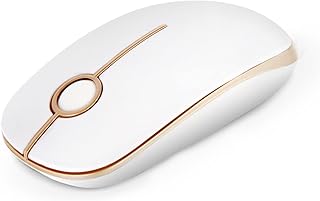 Wireless Mouse, Vssoplor 2.4G Slim Portable Computer Mice with Nano Receiver for Notebook, PC, Laptop, Computer-White and Gold