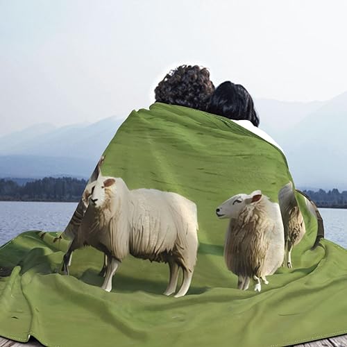 Couverture canapé mouton ultra douce, idée cadeau cocooning - 8