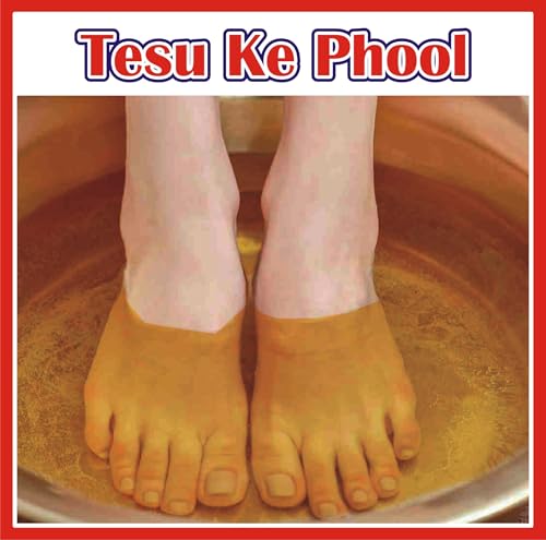 Image of J Organics Dry Tesu k Phool | Palash | Dhak Ka Phool | Butea Monosperma | Pack Of 50g