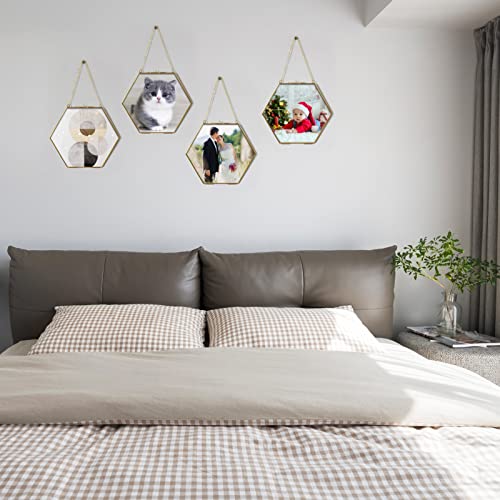 Tlbtek Brass Hanging Photo Frame,9.5 Inch Hexagon Glass Frame For Pressed Flowers,Clear Diy Vintage Artwork Display Frame Wall Mounted Photos Frame #TOP6