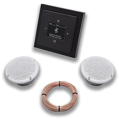 Busch Jäger DAB+ Unterputzradio 8217U-101 Set